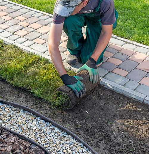 Entretien d'espaces verts Mainvilliers (28)