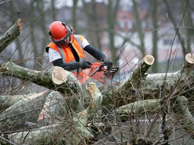 Entretien espaces verts