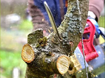 Création parking & allées